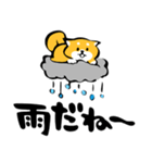 ふでしば【雨の日】柴犬（個別スタンプ：3）