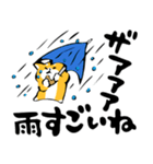 ふでしば【雨の日】柴犬（個別スタンプ：7）