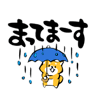 ふでしば【雨の日】柴犬（個別スタンプ：17）