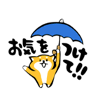 ふでしば【雨の日】柴犬（個別スタンプ：22）