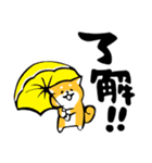 ふでしば【雨の日】柴犬（個別スタンプ：28）