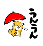 ふでしば【雨の日】柴犬（個別スタンプ：29）