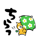 ふでしば【雨の日】柴犬（個別スタンプ：30）