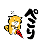 ふでしば【雨の日】柴犬（個別スタンプ：31）