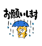 ふでしば【雨の日】柴犬（個別スタンプ：32）