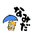 ふでしば【雨の日】柴犬（個別スタンプ：34）