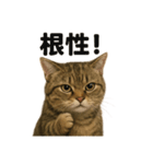 【闘魂注入！】負けず嫌いなマンチカン猫（個別スタンプ：3）