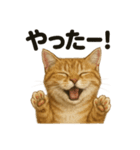 【闘魂注入！】負けず嫌いなマンチカン猫（個別スタンプ：7）
