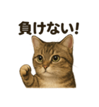 【闘魂注入！】負けず嫌いなマンチカン猫（個別スタンプ：16）