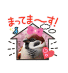 色んな鳥 十羽(人)十色（個別スタンプ：18）
