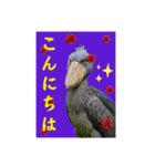 色んな鳥 十羽(人)十色（個別スタンプ：23）