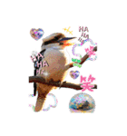 色んな鳥 十羽(人)十色（個別スタンプ：28）