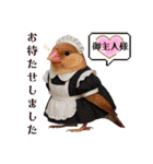 色んな鳥 十羽(人)十色（個別スタンプ：29）