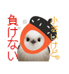 色んな鳥 十羽(人)十色（個別スタンプ：30）