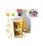 色んな鳥 十羽(人)十色（個別スタンプ：32）