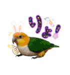 色んな鳥 十羽(人)十色（個別スタンプ：34）