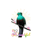 色んな鳥 十羽(人)十色（個別スタンプ：35）