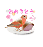 色んな鳥 十羽(人)十色（個別スタンプ：39）