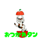 三毛猫出てきた（個別スタンプ：30）