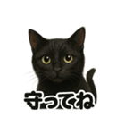 お祈りする黒猫のリアルなLINEスタンプ（個別スタンプ：5）