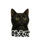 お祈りする黒猫のリアルなLINEスタンプ（個別スタンプ：6）
