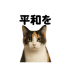 お祈りする三毛猫のリアルなLINEスタンプ（個別スタンプ：9）