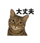 お祈りするキジトラ猫のLINEスタンプ（個別スタンプ：2）