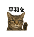 お祈りするキジトラ猫のLINEスタンプ（個別スタンプ：10）