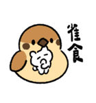 エンジニアベア ― 科学の果てはオカルト（個別スタンプ：2）