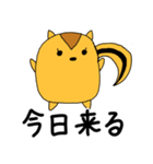 ことみんリス（個別スタンプ：5）