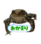 癒しのヒキガエル1（個別スタンプ：28）