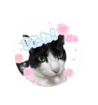 らい丸スタンプ☆2（個別スタンプ：5）
