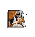 動く！ユウyouゆう！すたんぷ（個別スタンプ：6）