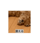 エルモ社長、動きます（個別スタンプ：5）