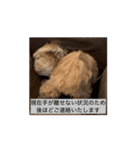 エルモ社長、動きます（個別スタンプ：7）