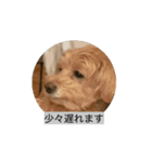 エルモ社長、動きます（個別スタンプ：11）