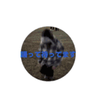 オオカワ・ダンシング（個別スタンプ：14）