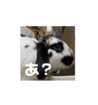 うごくもだスタンプ（個別スタンプ：1）
