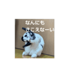 うごくもだスタンプ（個別スタンプ：3）