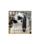 うごくもだスタンプ（個別スタンプ：5）