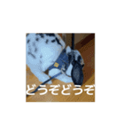うごくもだスタンプ（個別スタンプ：9）