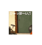 うごくもだスタンプ（個別スタンプ：10）