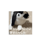 うごくもだスタンプ（個別スタンプ：11）