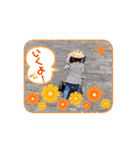 ちょこちゃん その3（個別スタンプ：2）