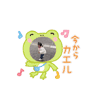 ちょこちゃん その3（個別スタンプ：3）