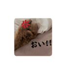動く！アトムスタンプ（個別スタンプ：4）
