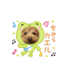 動く！アトムスタンプ（個別スタンプ：7）