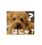動く！アトムスタンプ（個別スタンプ：11）