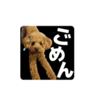 動く！アトムスタンプ（個別スタンプ：15）