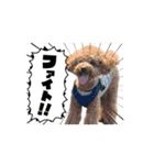 動く！アトムスタンプ（個別スタンプ：16）